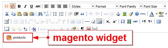 magento widget